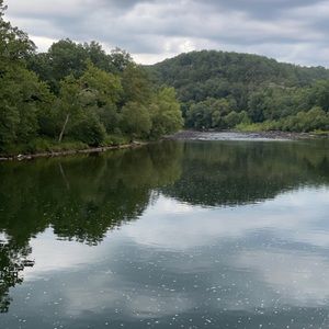 Meet your Posher, Isabella